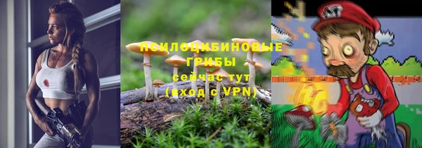 ПСИЛОЦИБИНОВЫЕ ГРИБЫ Белоозёрский