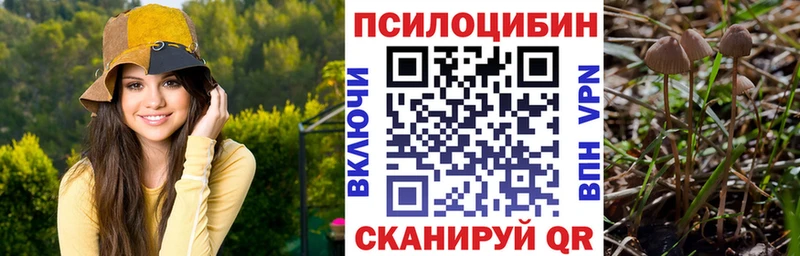 дарнет шоп  Богданович  Галлюциногенные грибы мухоморы 