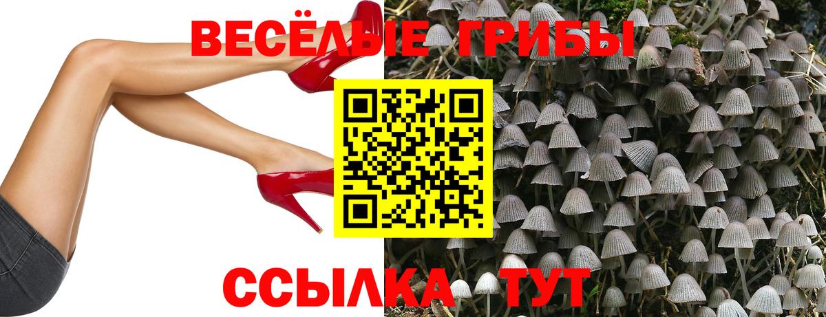 закладка  Вход с VPN  Богданович  Псилоцибиновые грибы мицелий 